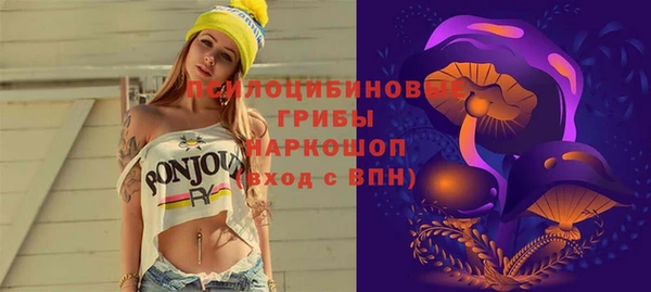 гашик Ростов