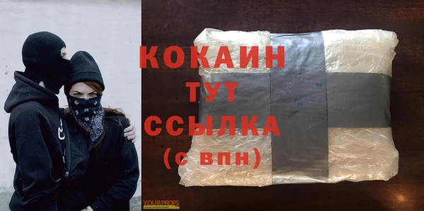 ПСИЛОЦИБИНОВЫЕ ГРИБЫ Рославль