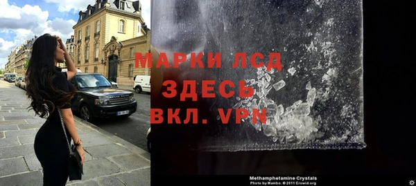 сатива Россошь