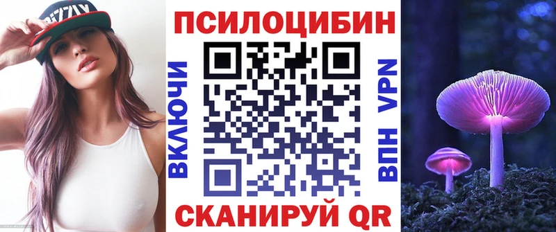 Купить закладки  Магнитогорск  Псилоцибиновые грибы GOLDEN TEACHER 